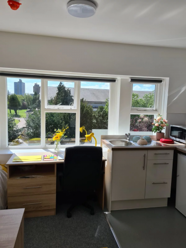 Salisbury Road - Gallery - 15