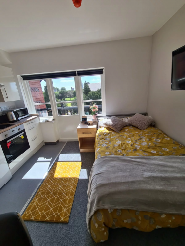 Salisbury Road - Gallery - 10