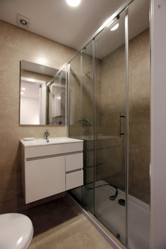 Appealing studio in Baixa de Santa Clara