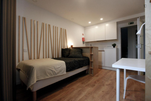 Appealing studio in Baixa de Santa Clara