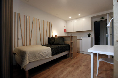 Appealing studio in Baixa de Santa Clara