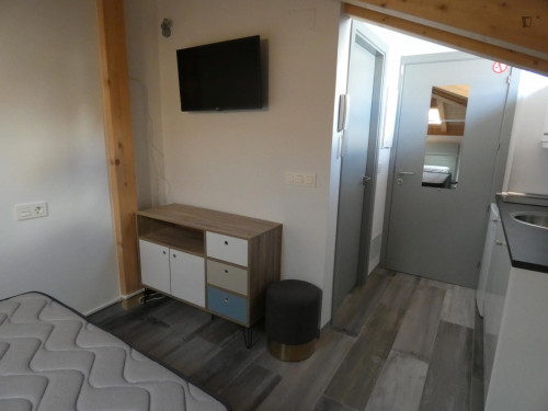 Cosy studio in the Old Town Burgos