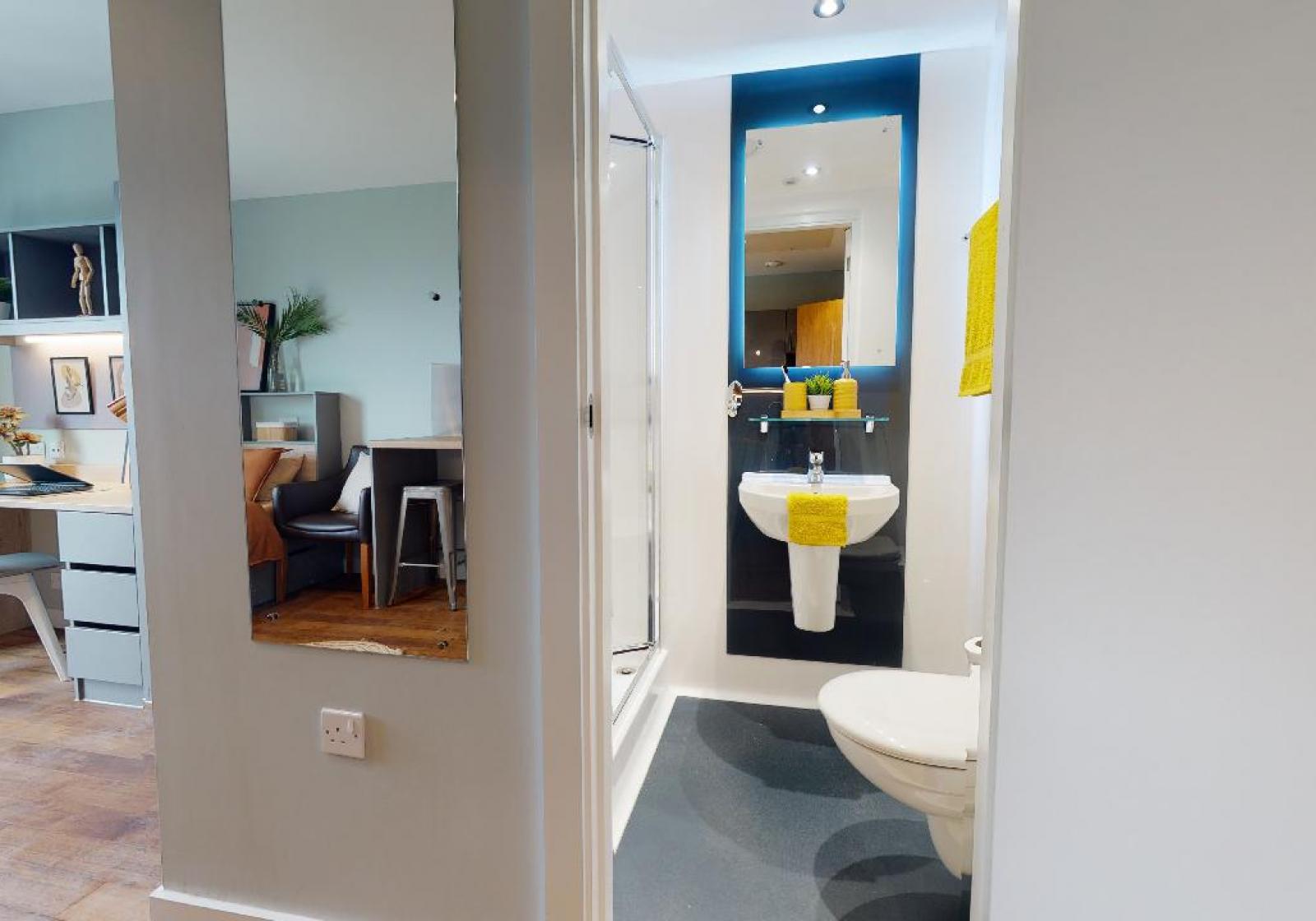  Gold Studio Plus  -  Knight House  - Gallery -  5