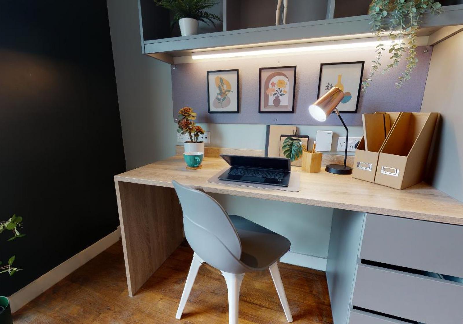  Gold Studio Plus  -  Knight House  - Gallery -  3