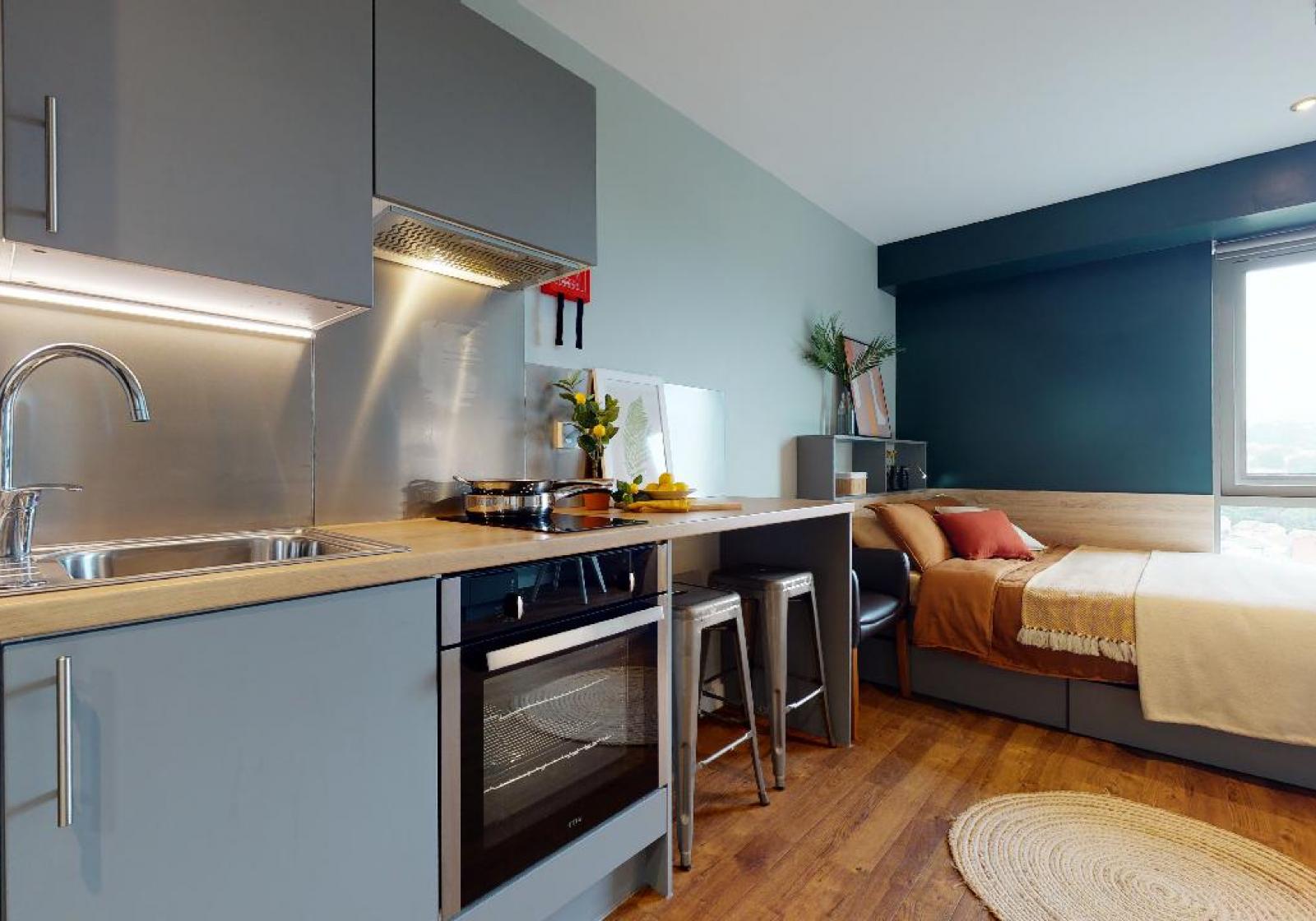  Gold Studio Plus  -  Knight House  - Gallery -  2