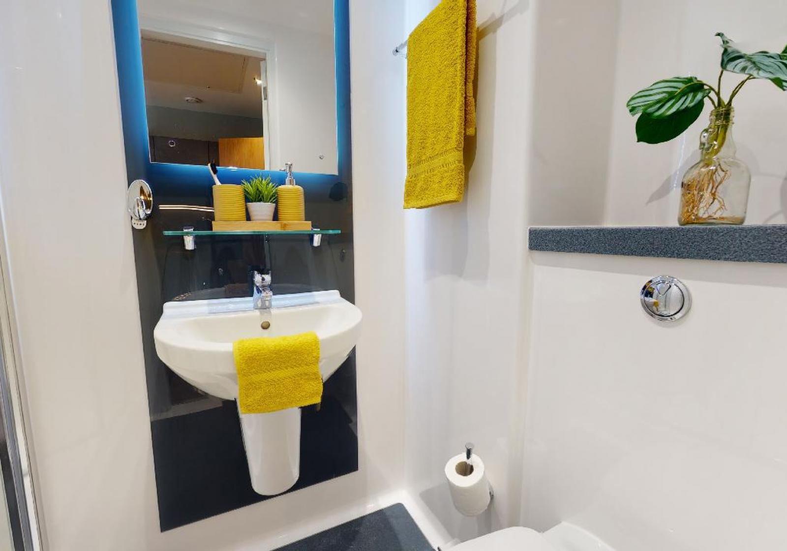  Gold Studio Plus  -  Knight House  - Gallery -  6