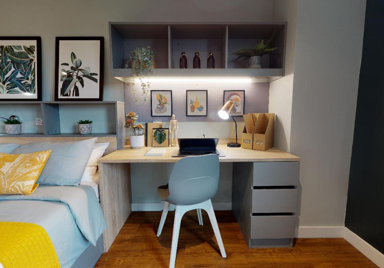  Gold Studio (Accessible)  -  Knight House  - Gallery -  3