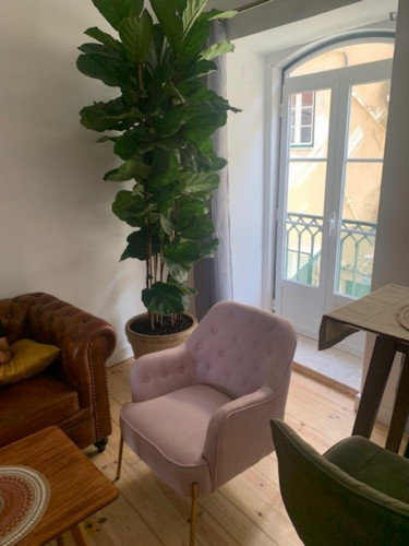 Stylish 1-bedroom apartment in classic São Bento