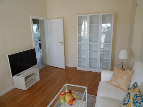 Perfectly equipped apartment with direct transport connection to Alexanderplatz