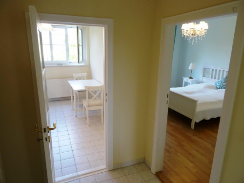 Perfectly equipped apartment with direct transport connection to Alexanderplatz - Gallery - 14