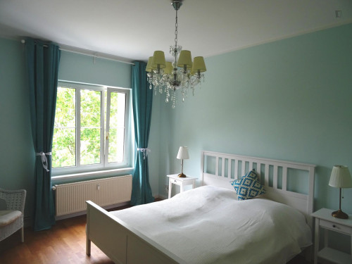 Perfectly equipped apartment with direct transport connection to Alexanderplatz