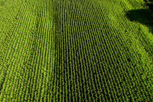 Fantastic house with a pool and an amazing outdoor area
