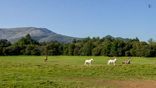 Fantastic house with a pool and an amazing outdoor area