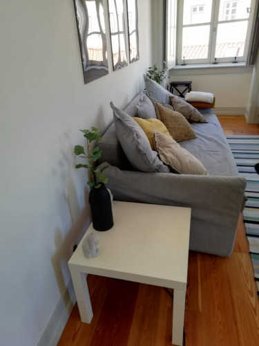 Very nice 2-bedroom flat in downtown Lisbon