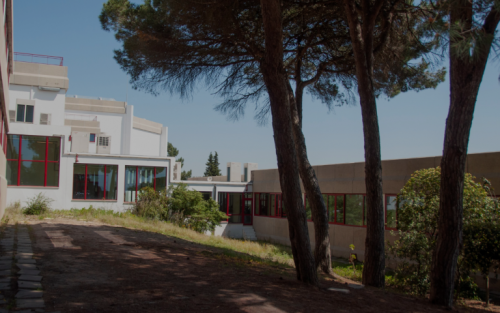Smart Studios Estoril  - Gallery -  4