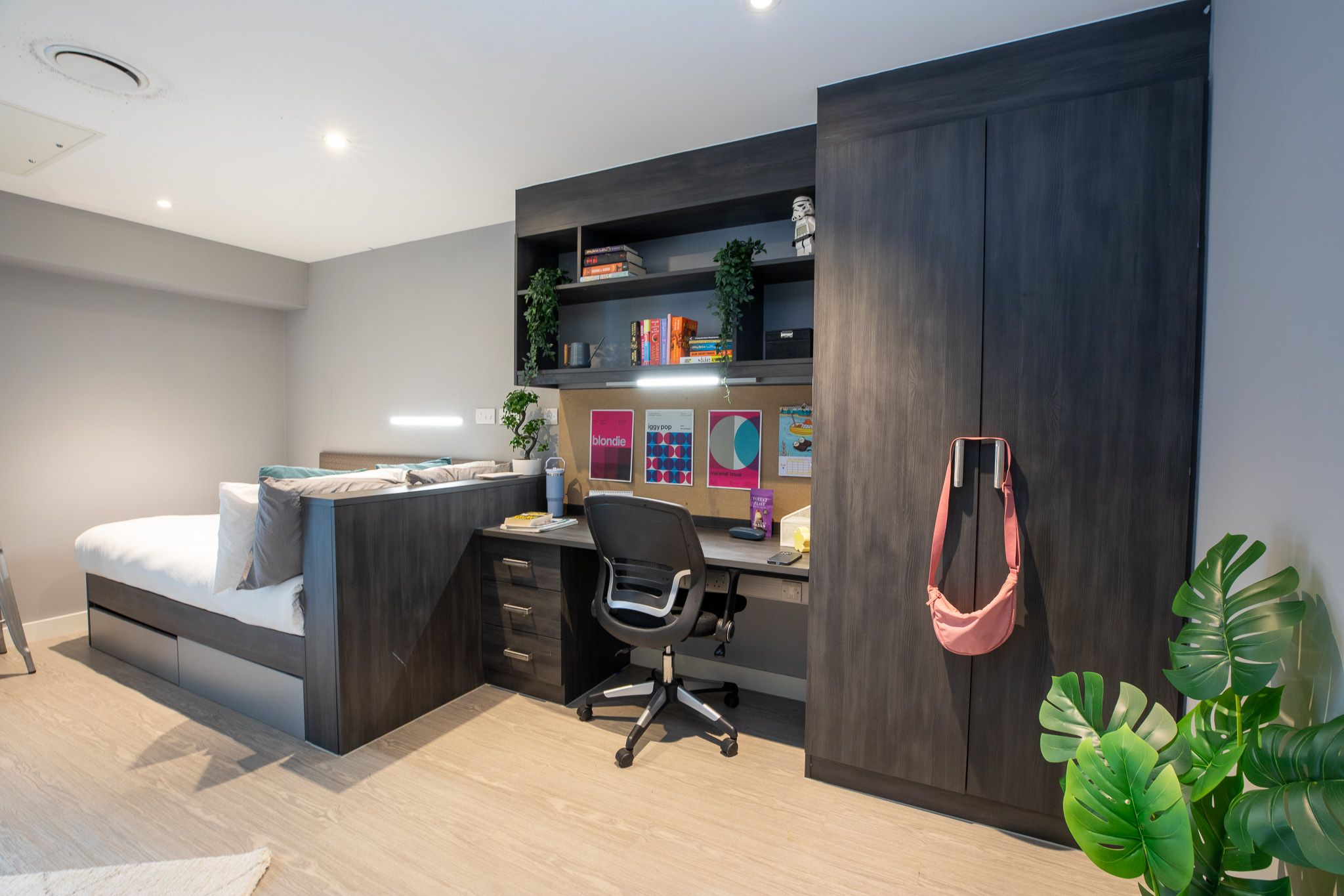  Gold Studio  -  Plummer House  - Gallery -  4