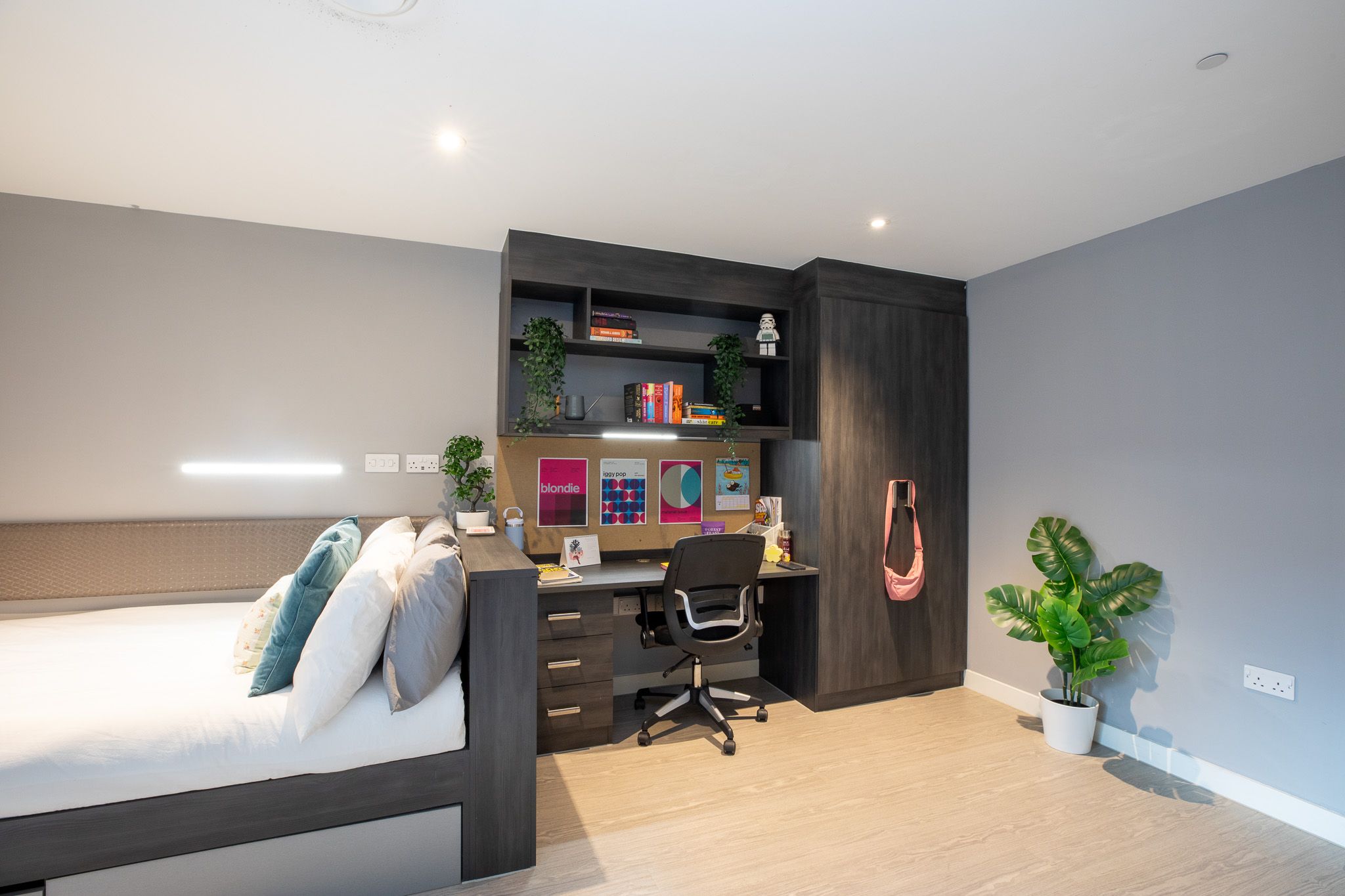  Gold Studio  -  Plummer House  - Gallery -  5