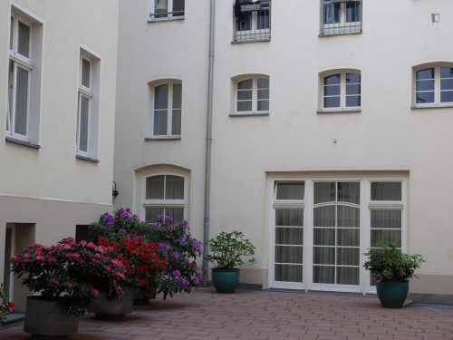 Perfectly equipped central 3-bedroom apartment  - Gallery -  5