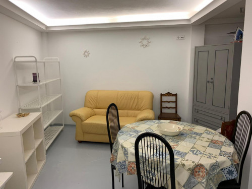Homely studio in Campolide