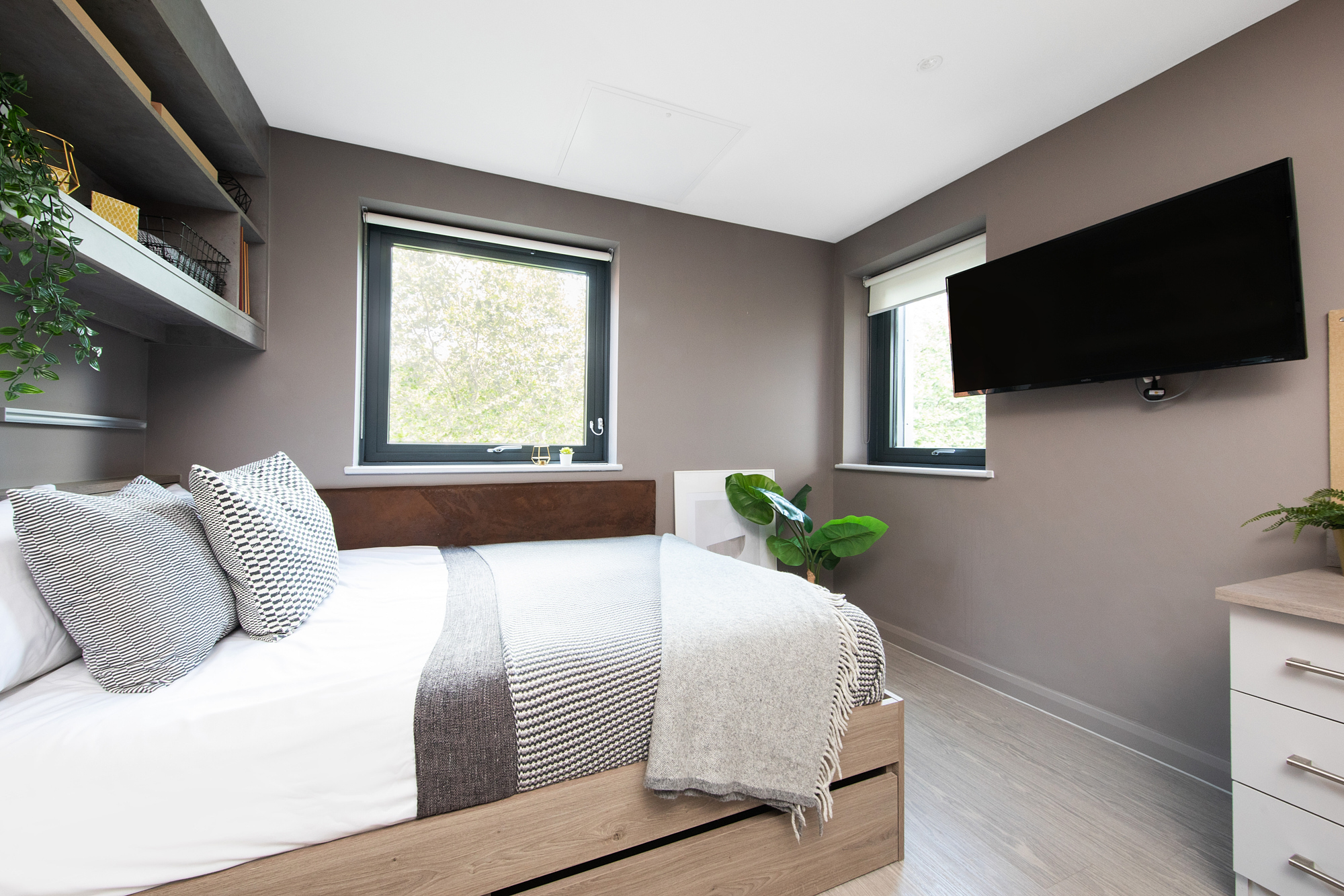  Compact Studio  -  Eclipse  - Gallery -  1
