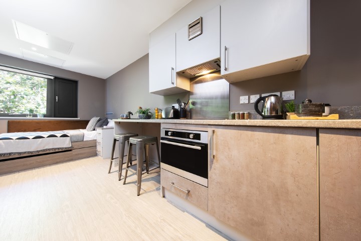  Platinum Studio  -  Collegiate Eclipse  - Gallery -  1