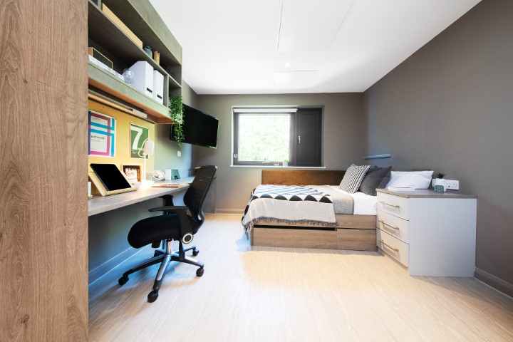Gold Studio - Collegiate Eclipse - Gallery - 1