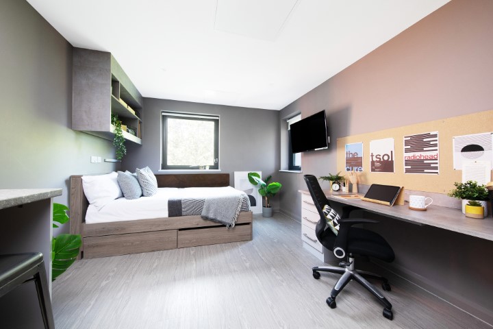  Silver Studio  -  Collegiate Eclipse  - Gallery -  1