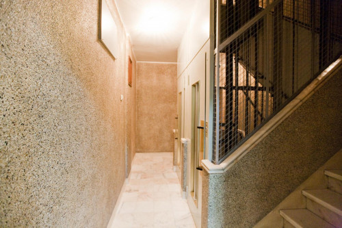 Light single room in 5-bedroom apartment, close to Cidade Universitária - Gallery - 6