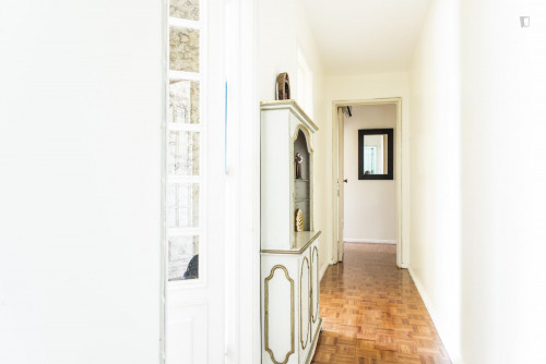 Light single room in 5-bedroom apartment, close to Cidade Universitária - Gallery - 9