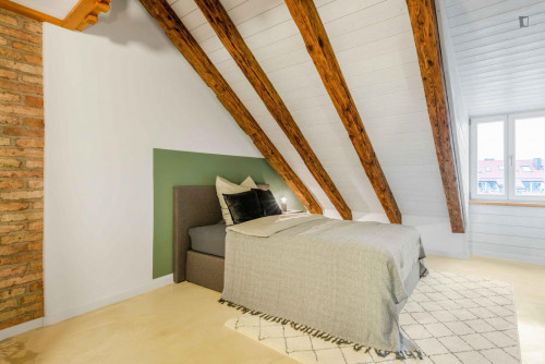 Cozy single bedroom in a 5 bedroom apartment in Altstadt-Lehel