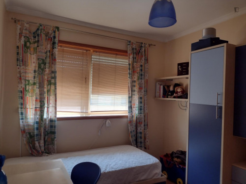 Very nice single bedroom in Cedofeita