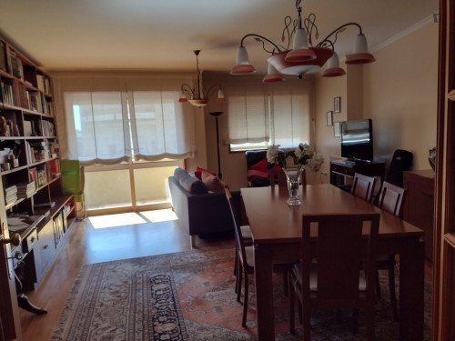 Very nice single bedroom in Cedofeita