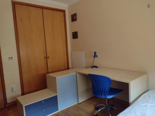 Very nice single bedroom in Cedofeita