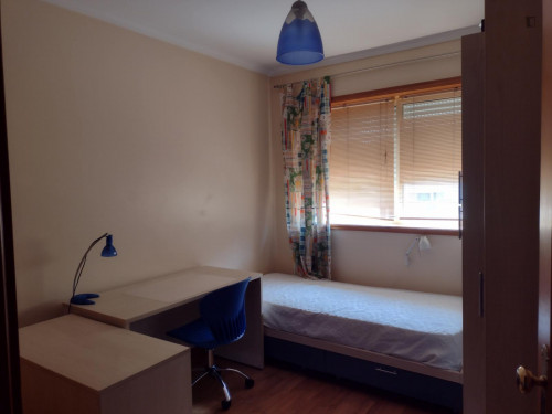 Very nice single bedroom in Cedofeita