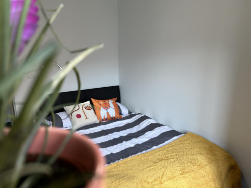 Canterbury Student Village - Gallery - 98