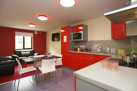  Classic En-Suite Ground Floor, Kentish House  -  Canterbury Student Village  - Gallery -  6
