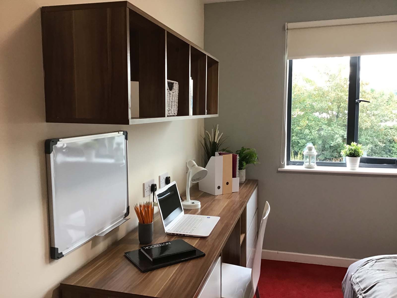  Classic En-Suite Behn Hall  -  Canterbury Student Village  - Gallery -  32