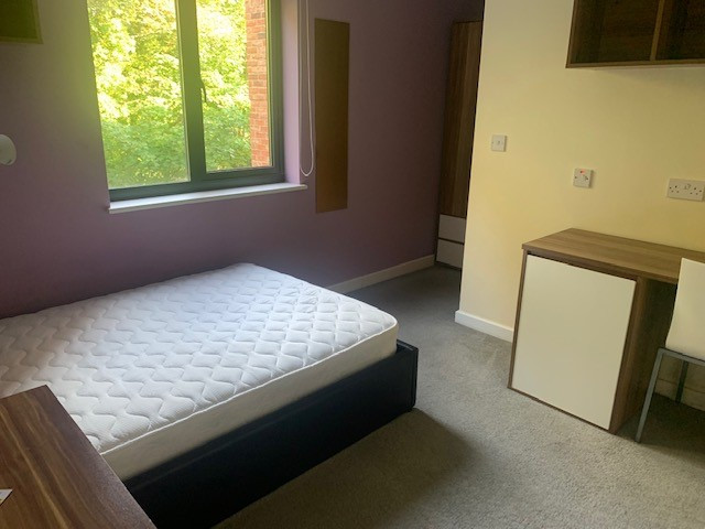  Deluxe En-Suite Behn Hall  -  Canterbury Student Village  - Gallery -  11
