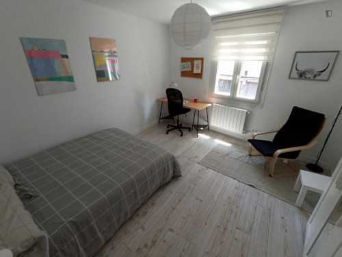 Appealing double bedroom in a student flat, in Uribarri