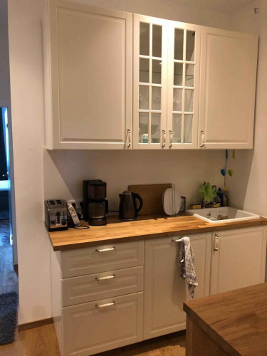 Pleasant single bedroom close to Frühlingsanlagen Park