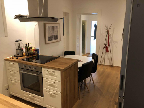 Pleasant single bedroom close to Frühlingsanlagen Park