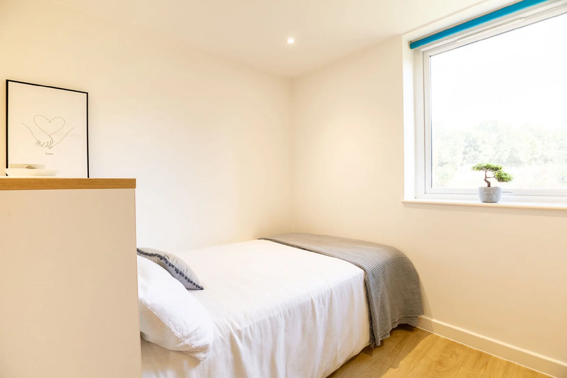 Premier Studio  -  Elmstead Place  - Gallery -  1