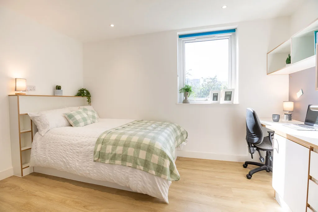 Premium Micro Studio  -  Elmstead Place  - Gallery -  4