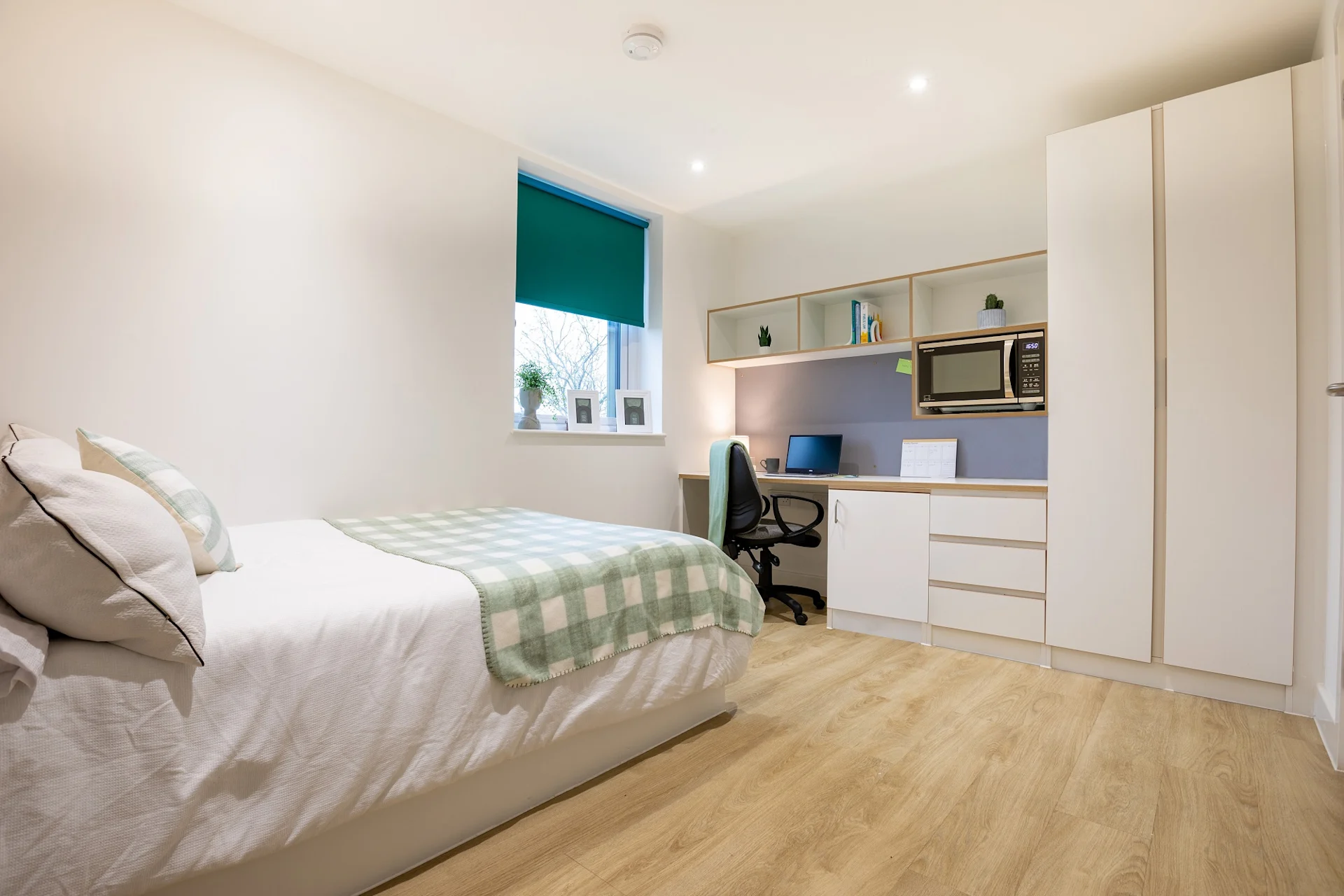  Premium Micro Studio  -  Elmstead Place  - Gallery -  5
