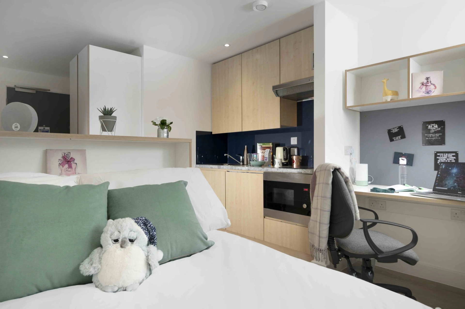 Ground Floor Premier Studio - Elmstead Place - Gallery - 1