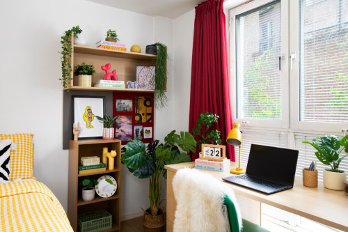  Standard Double Non En-Suite: Three Bedroom Flat  -  Romano Court  - Gallery -  1