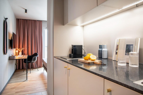 Elegant studio in Gliesmarode XS