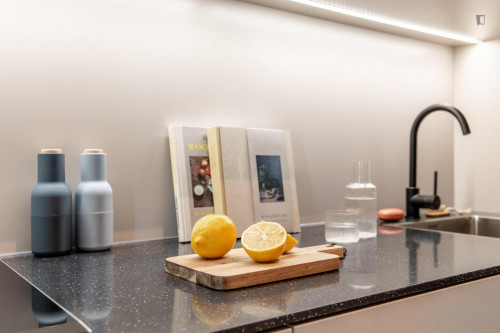 Elegant studio in Gliesmarode XS