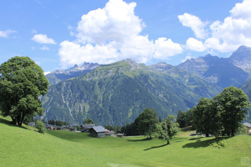 Alpinaweg Collective