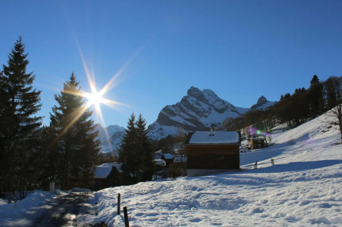 Alpinaweg Collective - Gallery - 16